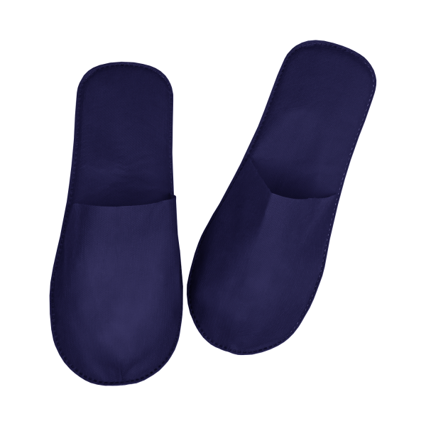 Синие тапочки 1